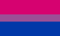 Lá cờ hình chữ nhật có các sọc ngang sau: sọc rộng màu hồng, sọc tím hẹp và sọc xanh rộng